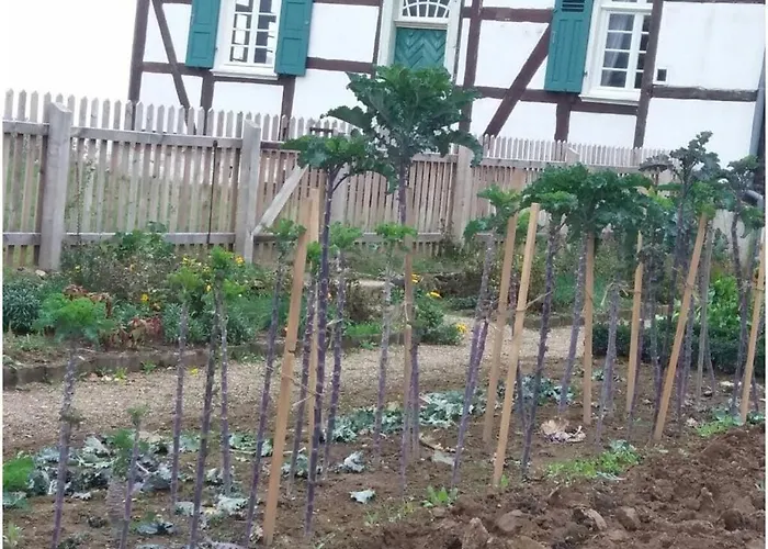 Lovely In * 埃克斯特塔尔