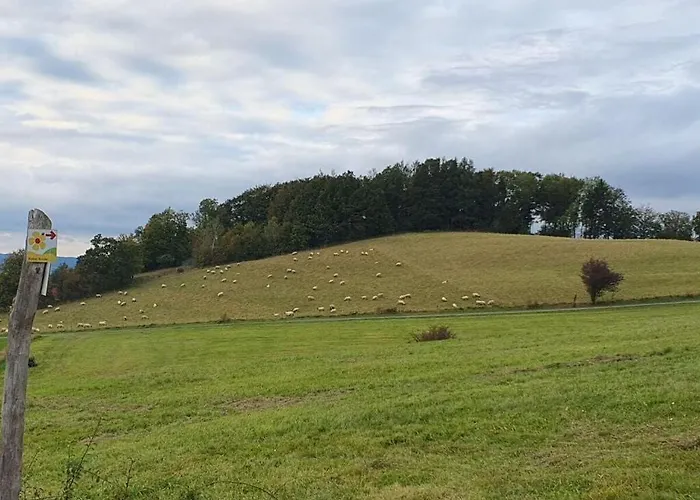 Lovely In * 埃克斯特塔尔