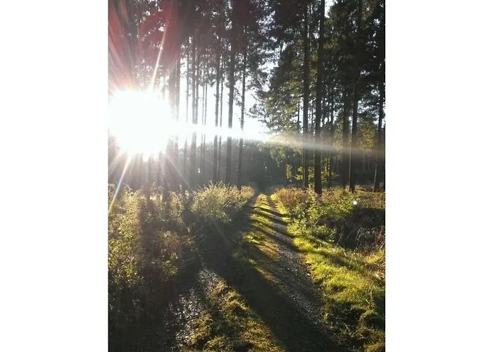 Lovely In * 埃克斯特塔尔