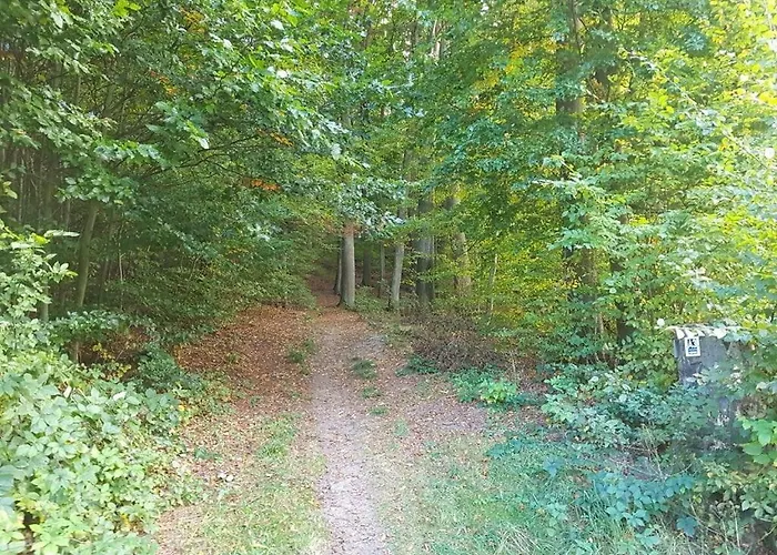 Lovely In 公寓 埃克斯特塔尔